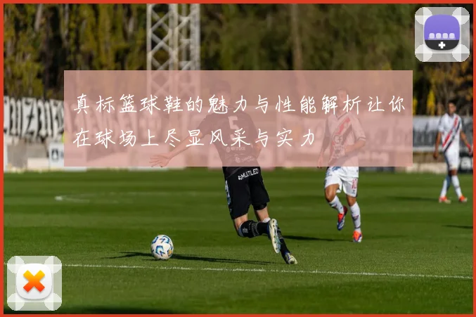 真标篮球鞋的魅力与性能解析让你在球场上尽显风采与实力