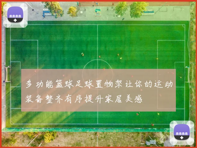 多功能篮球足球置物架让你的运动装备整齐有序提升家居美感