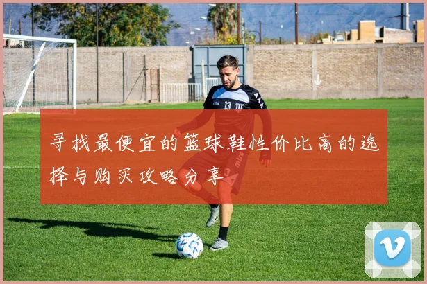 寻找最便宜的篮球鞋性价比高的选择与购买攻略分享